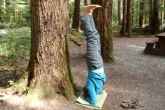 Jenny doing a supported Headstand (Salamba Sirsasana) amid Douglas fir trees at the campsite in Gordon Bay Provincial Park, on Cowichan Lake, Vancouver Island, B.C. (Photo by Ian Hatter)